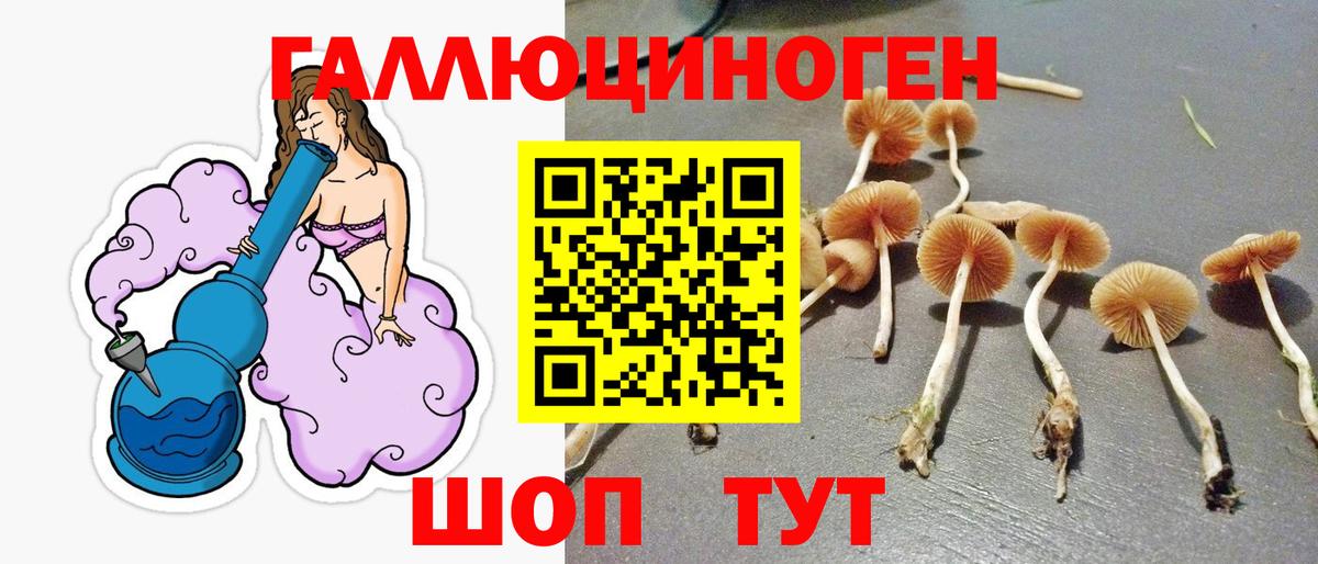 Псилоцибиновые грибы MAGIC MUSHROOMS Казань
